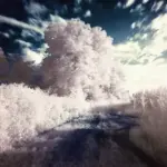 Hvad er infrarøde saunatæpper godt for? Hvorfor skal man bruge dem